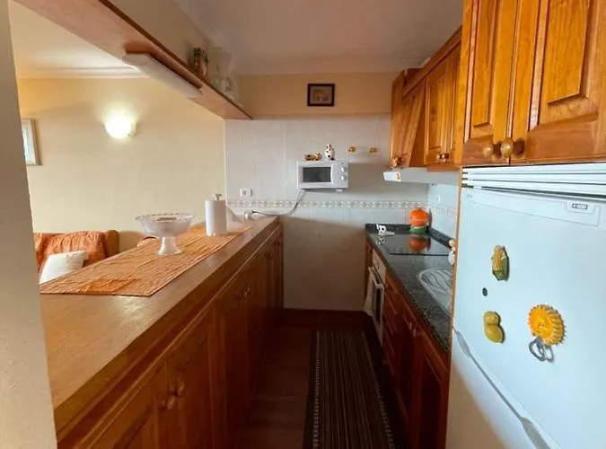 Neptuno Playa 17 Puerto de Santiago (Tenerife)